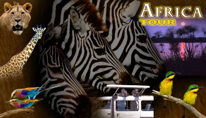 Africa Photography Tour Safari