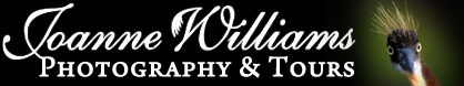Florida Photography Workshops
